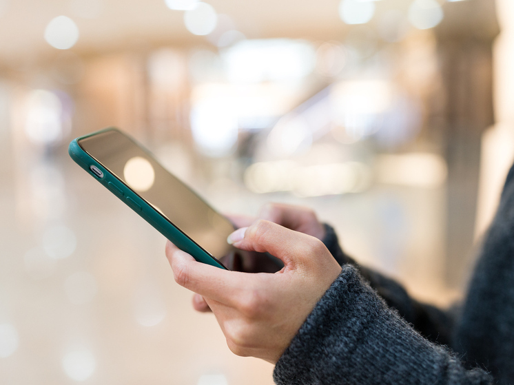 Житель Архангельска вырвал телефон прямо из рук горожанки