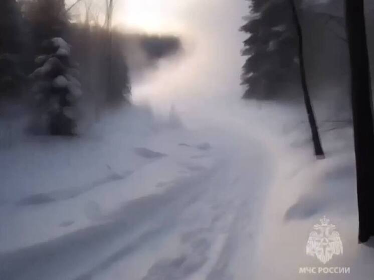 МЧС предупреждает ямальцев о сильном ветре и метели 2 декабря