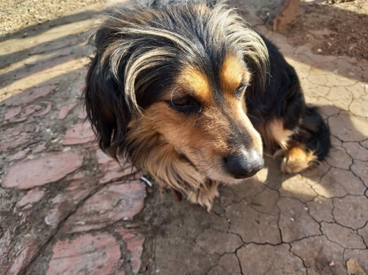 Под Саратовом районная администрация выплатила компенсацию ребенку