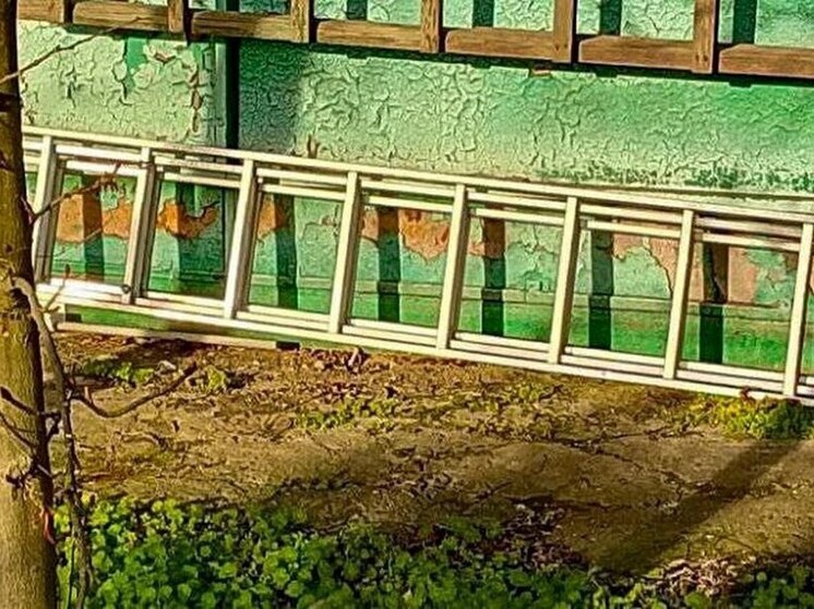 Житель Херсонской области украл со стройки лестницу