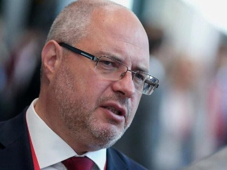 Пересмотреть дело о недвижимости Долиной предложил воронежский депутат