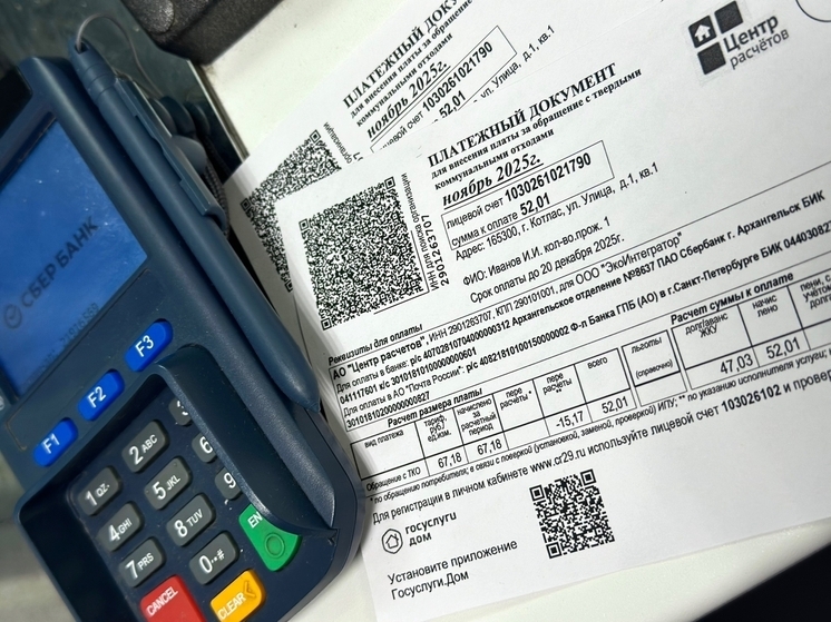 «ЭкоИнтегратор» спишет пени при оплате долга за обращение с ТКО в декабре