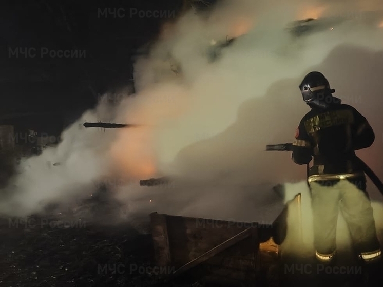 В Орловском округе случился пожар в деревянной бане