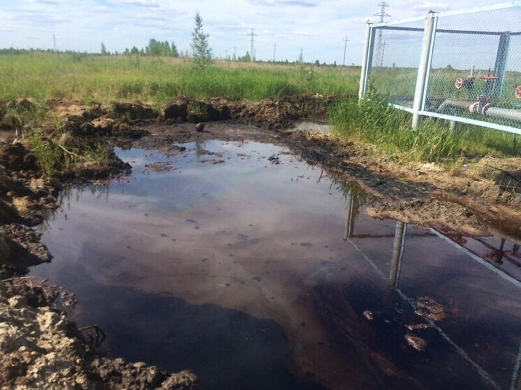 Компанию в Томской области оштрафовали за сокрытие разливов нефти