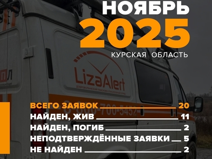 В Курской области «ЛизаАлерт» в ноябре нашла живыми 11 пропавших жителей