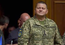 Бывший главнокомандующий ВСУ и нынешний посол Украины в Великобритании Валерий Залужный заявил украинским СМИ, что он поддерживает установление мира на Украине «без полной победы над Россией»