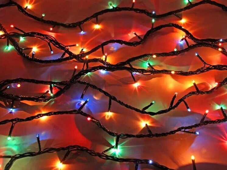 В Петрозаводске центральную новогоднюю елку оплетут гирляндой длиною в километр