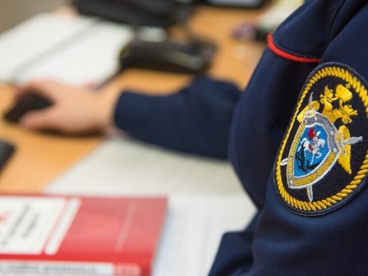 Причины обрушения части колонны Музейного центра в Сегеже установит Следственный комитет