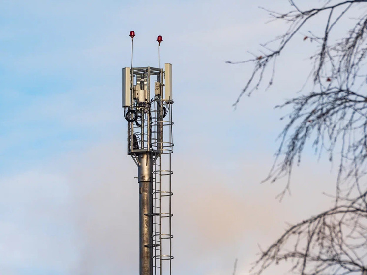 Связь для севера: «Ростелеком» обеспечил интернетом карельский поселок Малиновая Варакка