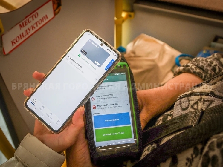 До конца года в Брянске проезд с картой «Мир» дешевле на 7 рублей