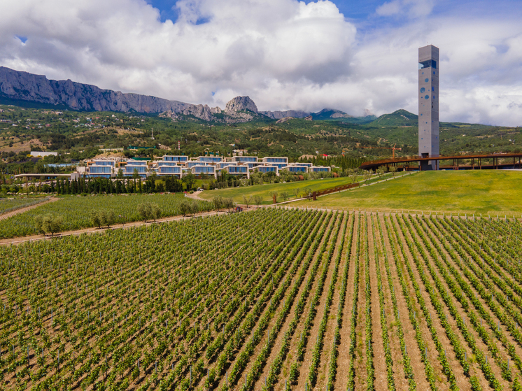 Пятилетие WINEPARK: путь от локального проекта до лидера российского энотуризма