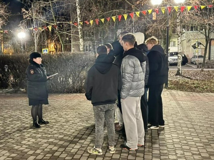 Более 150 человек доставили в полицию в Рязанской области за выходные
