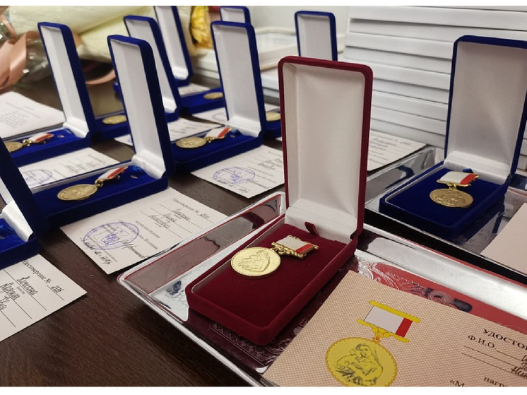 «Медали материнства» вручили 91 вологжанке