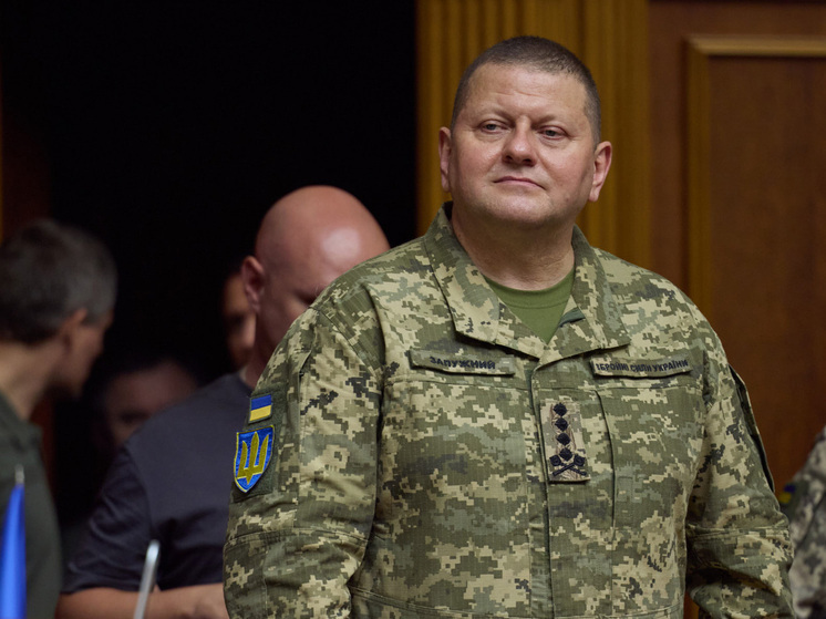 Экс-главком ВСУ объяснил, каким хочет видеть мир на Украине