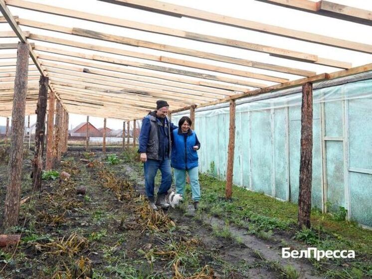 Новая жизнь в Борисовке: семья из Байцур возродила тепличное хозяйство по соцконтракту
