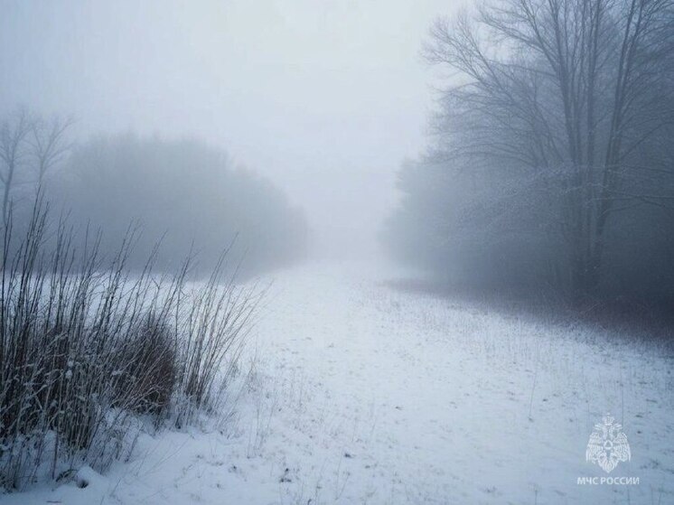 МЧС предупреждает: в Псковской области ожидается туман
