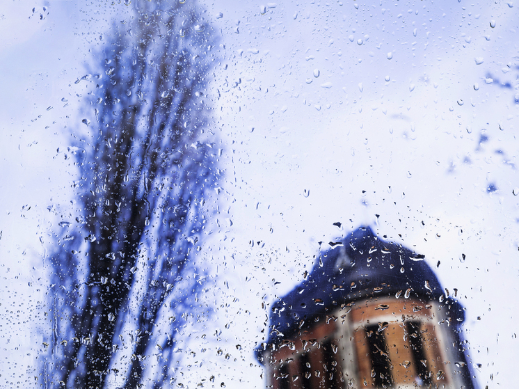 2 декабря брянцам синоптики обещают мокрый снег и дождь