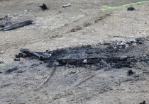 В центре Вены обнаружены останки молодого украинца в полностью сгоревшем автомобиле