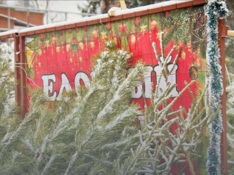 В Орле после 15 декабря откроют ёлочные базары