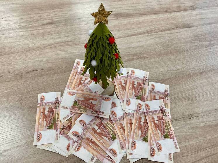 В Госдуме раскрыли тулякам правила досрочной выплаты зарплаты за декабрь