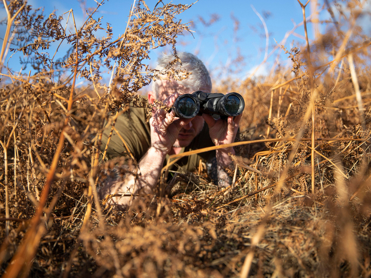 Завершился сезон охоты на пернатую дичь в Кировской области