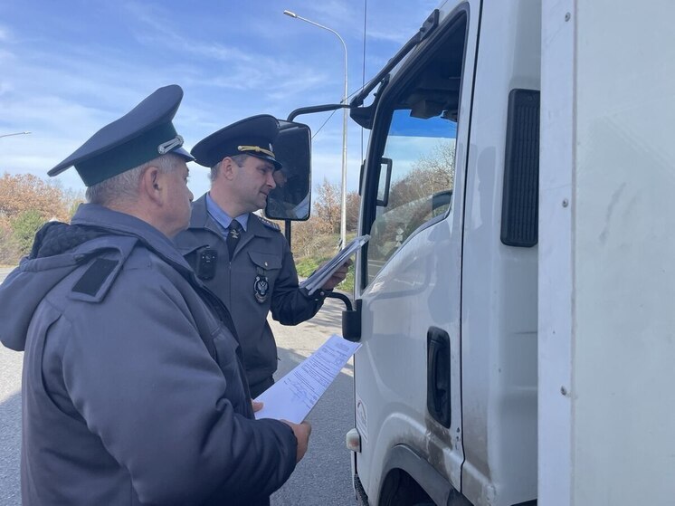 Россельхознадзор предотвратил ввоз в Херсонскую область опасной продукции