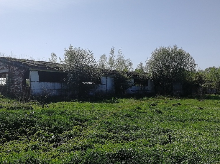 В тульской деревне Андреевка разрушенная ферма продается за 5 млн рублей