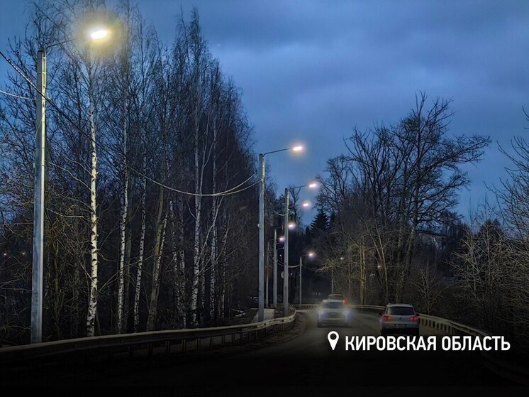 «Россети Центр» и «Россети Центр и Приволжье» расширяют сеть уличного освещения в регионах присутствия