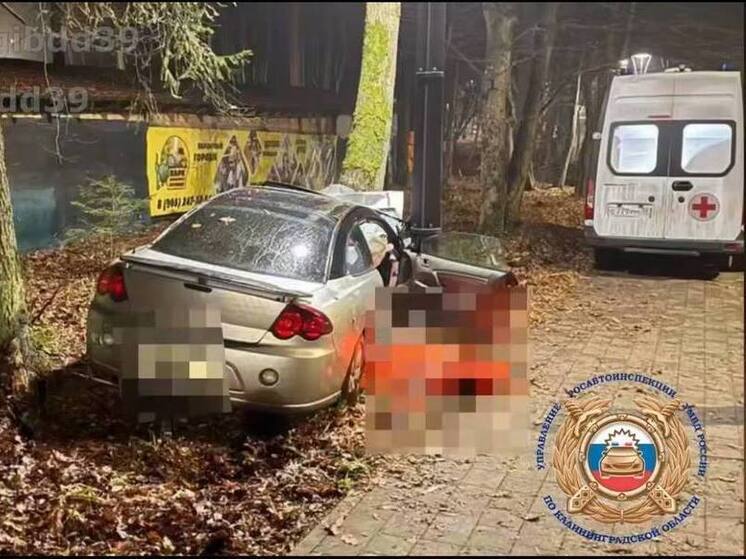 В Светлогорском районе возбудили уголовное дело после смертельного ДТП