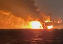 Киев взял на себя ответственность за серию атак морских дронов на два танкера у побережья Турции, пишет издание The Guardian со ссылкой на источник в украинских спецслужбах