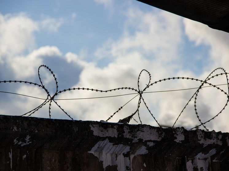 В Туле назначена дата суда над мужчиной, который кинул гранату Ф-1 в подругу