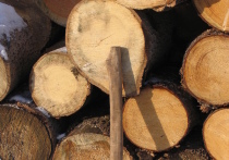 Второй день календарной зимы, 2 декабря, в народной традиции носит имя Авдея Радетеля — покровителя домашнего очага и семейного благополучия. В этот день Церковь вспоминает одного из двенадцати ветхозаветных пророков, святого Авдия, который всей своей жизнью показал пример заботы о ближних.