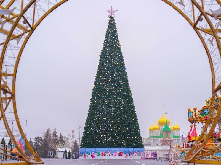 Тульский фонд «Защитники Отечества» запустил новогоднюю акцию для детей