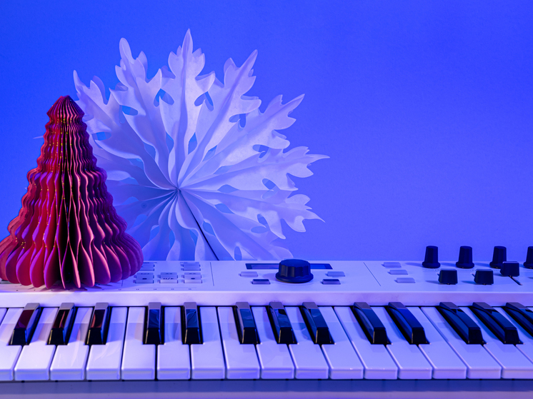 Творческие делегации из Ярославской области дадут новогодние концерты в Акимовском округе