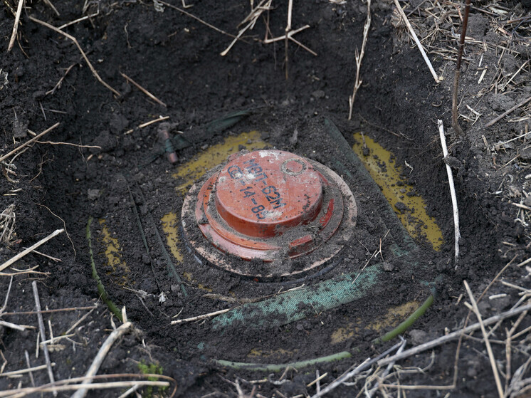 UNIDIR: Киев остается главным получателем финансирования на борьбу с минами