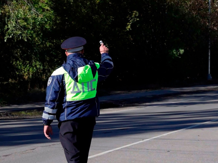 В Липецкой области автоинспекторы задержали 29 пьяных водителей за выходные