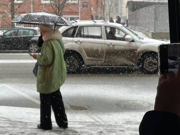 Новгородской области на 2 декабря пообещали облачность и мокрый снег