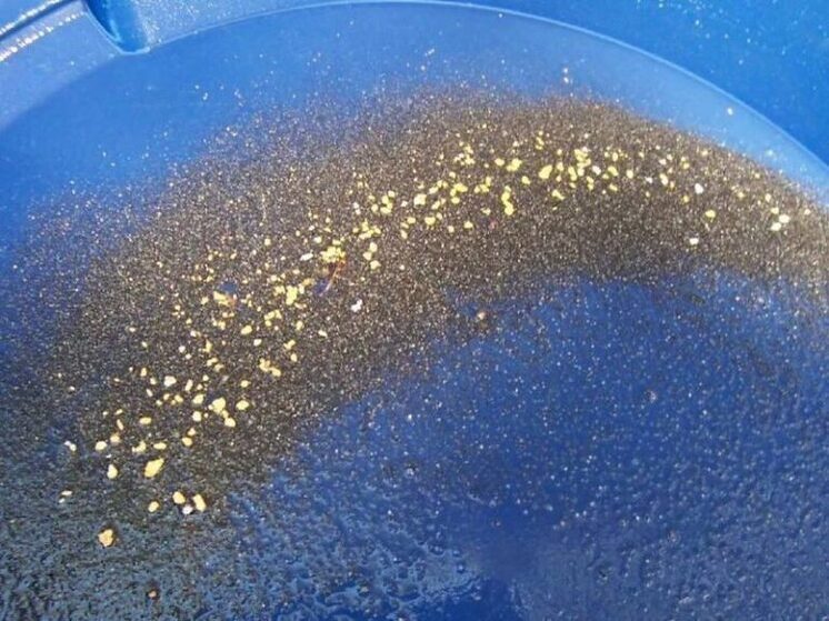 Амурский старатель осужден условно за кражу золота с драги на полмиллиона рублей