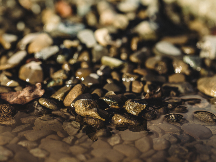 Спикер Магаданской облдумы предложил в Госдуме вернуть практику РЭП для добычи «техногенного» золота