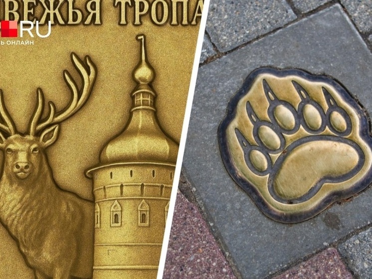 Жителям Ростова Великого объяснили, почему в историческом центре появились следы мишки, а не копыта оленя