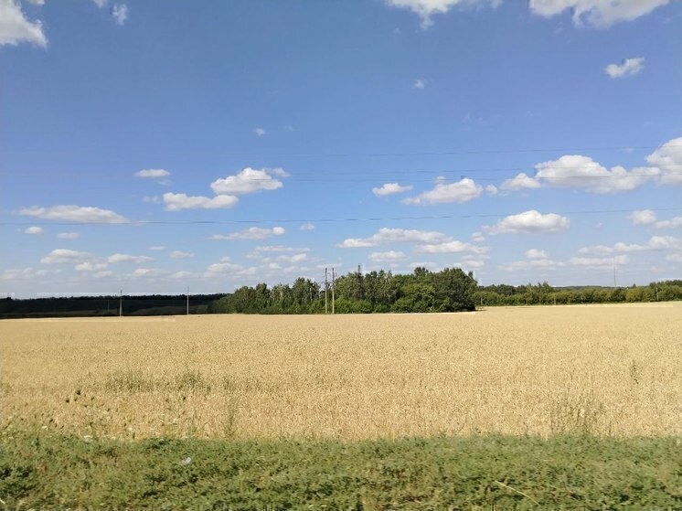 Белгородский губернатор поручил наградить аграриев за работу в непростых условиях