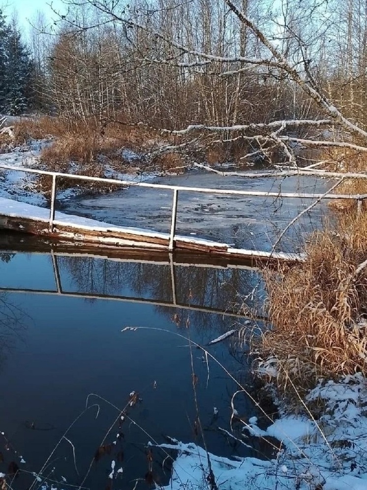 Ярославский губернатор поручил починить мостик в Любимском районе