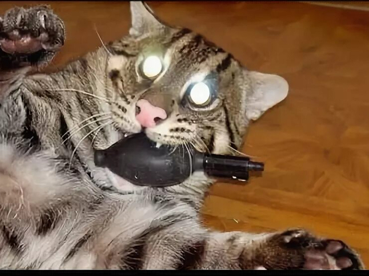 Мы ежедневно чему-то удивляемся