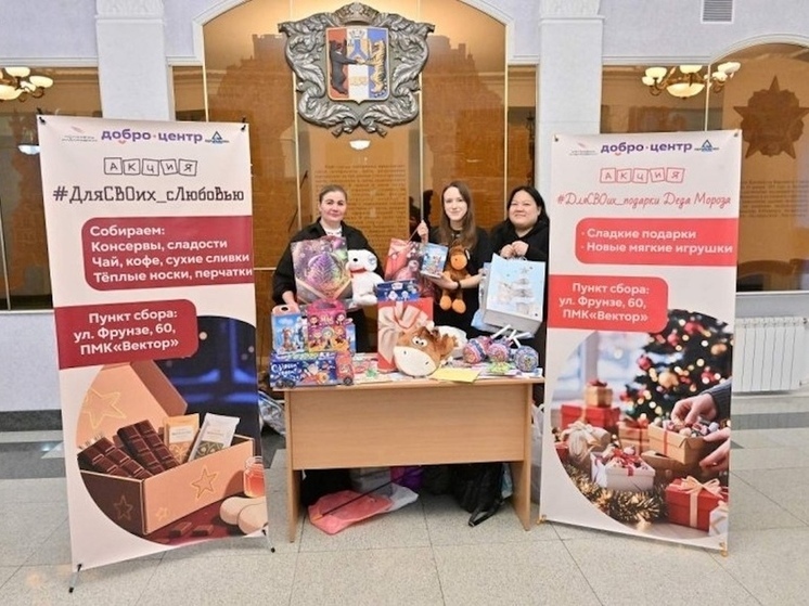 В Хабаровске прошла акция «#ДляСВОих_подарки Деда Мороза» для детей из Горловки