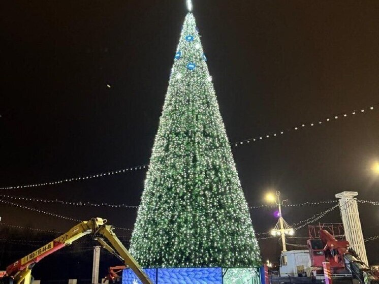 На Адмиралтейской площади в Воронеже почти собрали новогоднюю елку