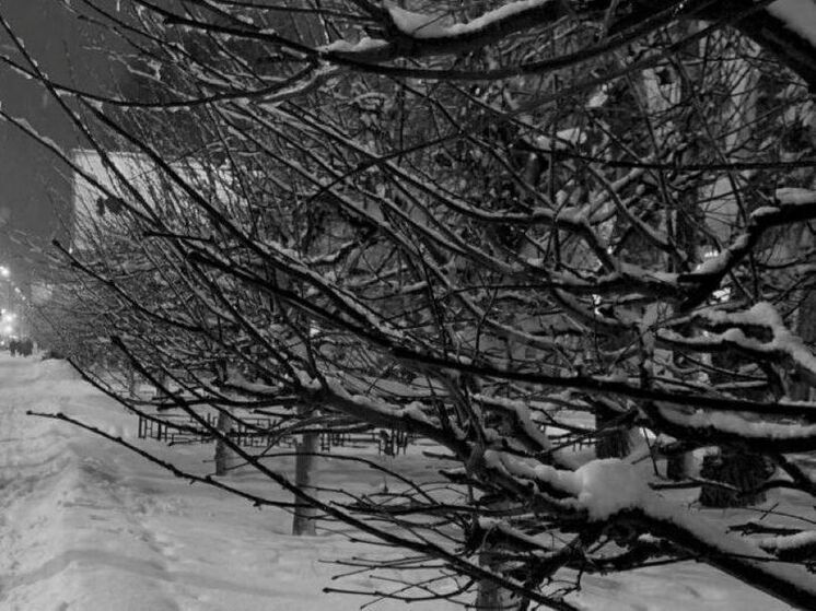 Завалит ли Воронеж снегом в декабре