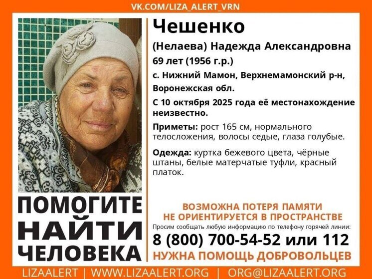 Мертвой нашли пропавшую воронежскую пенсионерку