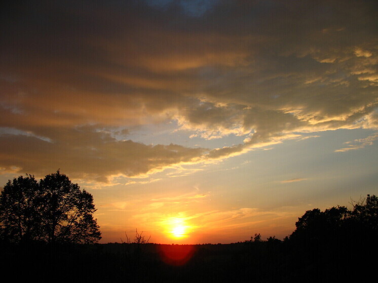 ИКИ РАН: группа солнечных пятен в 2025 году достигла площади 1600 условных единиц