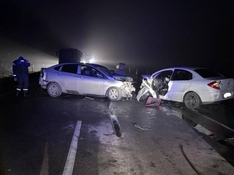 Две человека пострадали в лобовом столкновении на трассе в Ростовской области