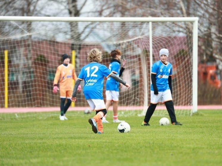 Объем финансирования спортивной сферы Вологодчины в 2025 году составил 3,2 млрд рублей